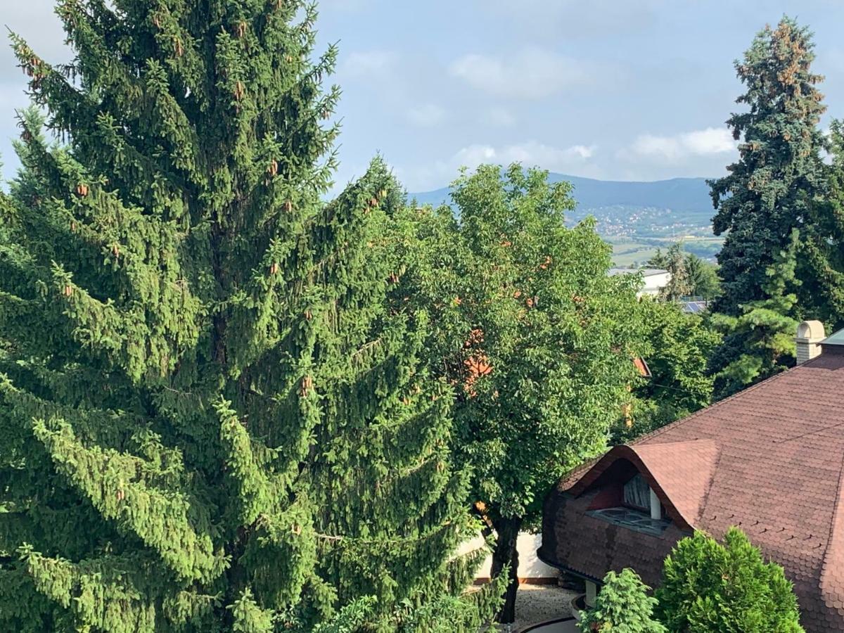 Maharaja Mountain Palace With Free Privat Parking And Garden 부다페스트 외부 사진