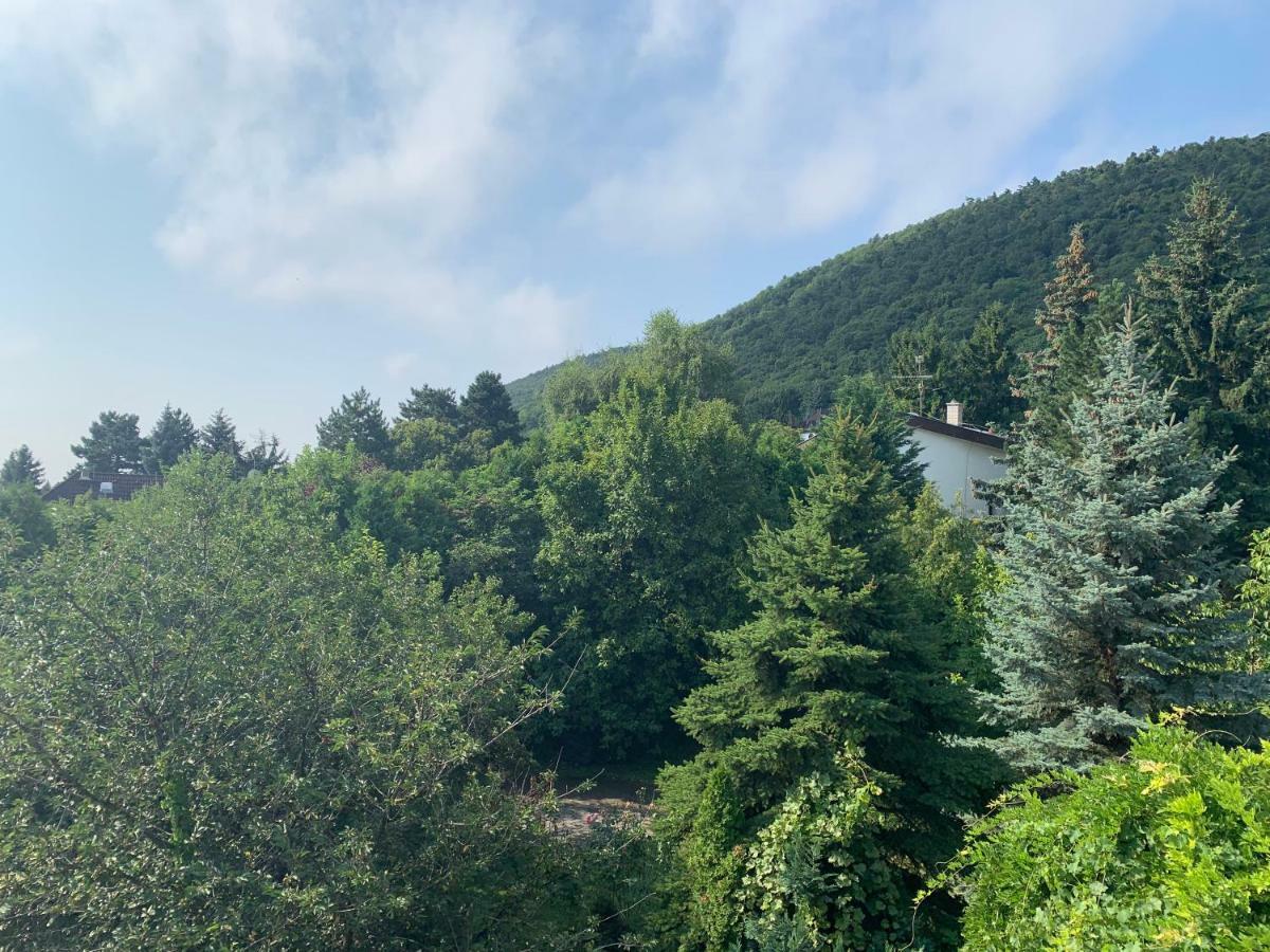 Maharaja Mountain Palace With Free Privat Parking And Garden 부다페스트 외부 사진