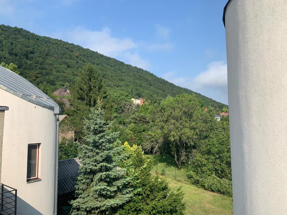 Maharaja Mountain Palace With Free Privat Parking And Garden 부다페스트 외부 사진